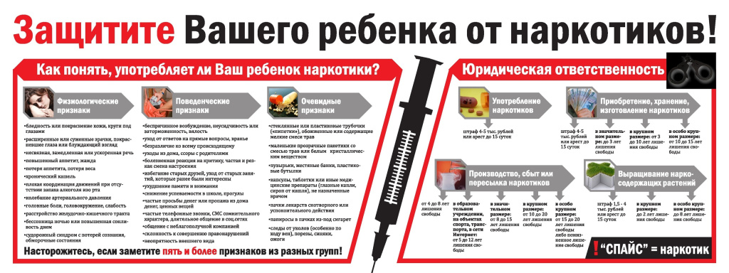 n2.jpg